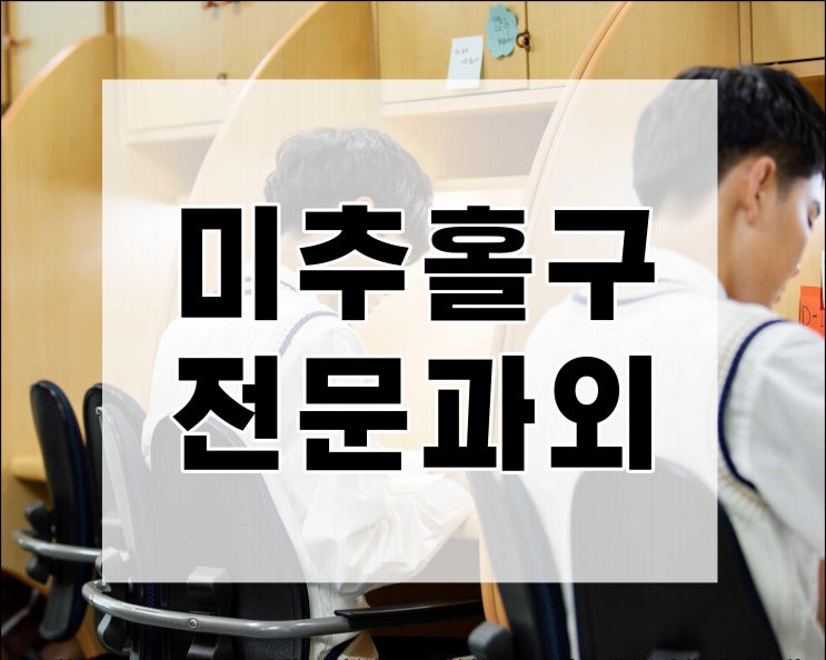  미추홀구 고등수학과외 용현동 학익동 고등영어과외
