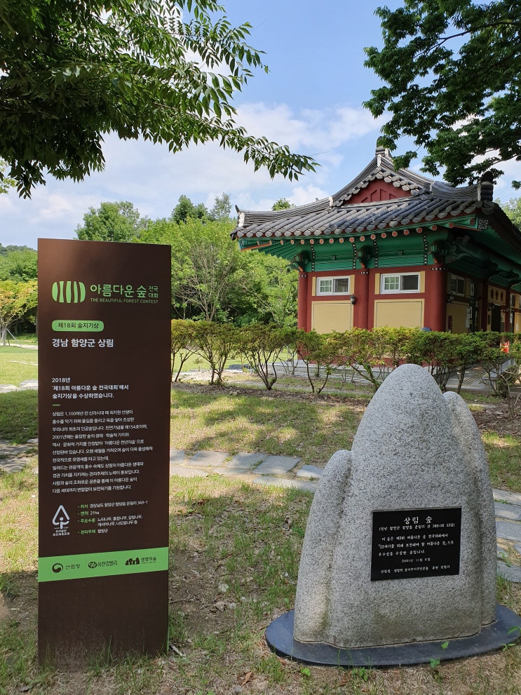  함양가볼만한곳 함양여행 상림공원 일두고택 오도재