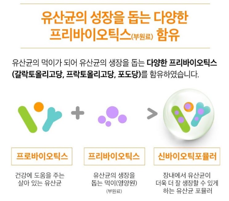  유산균 정복 1탄) 유산균 가루 스틱별 상세설명