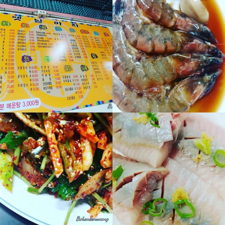  보헤미안웅의 즐거운 시간여행 목동역 회 맛집  옛날마차 스페셜메뉴