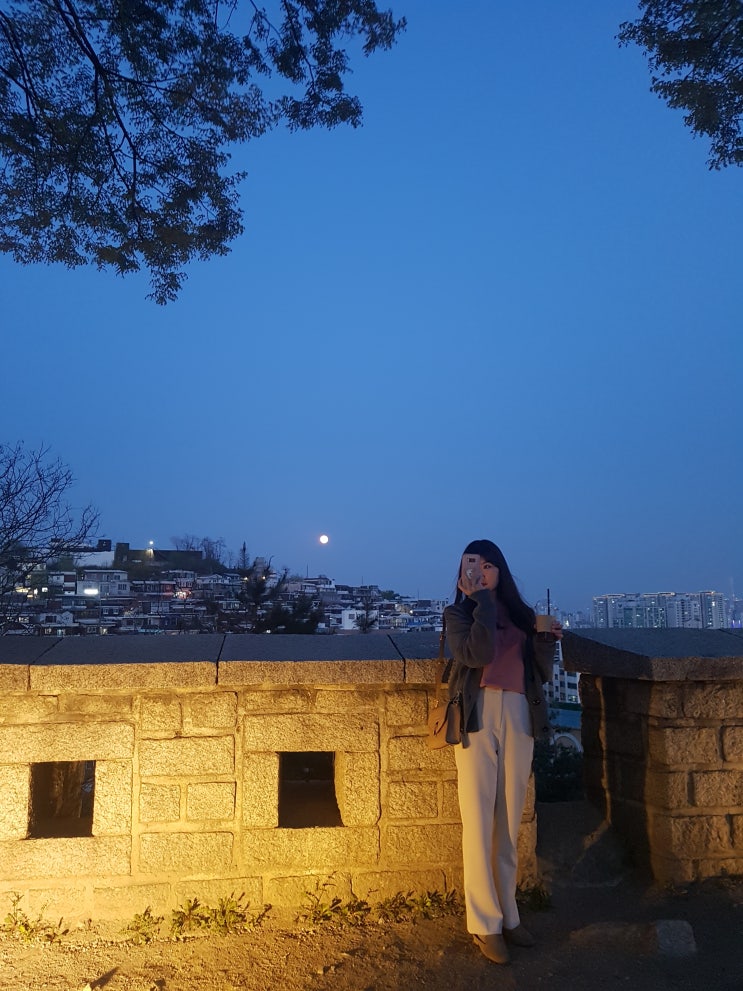  2019. 04. 19. 서울 데이트 - 서울 야경 명소, 낙산 공원/나혼자산다 충재 카페, 개뿔/대학로 맛집, 부추곱창/대학로 분위기 좋은 와인바, 수도원