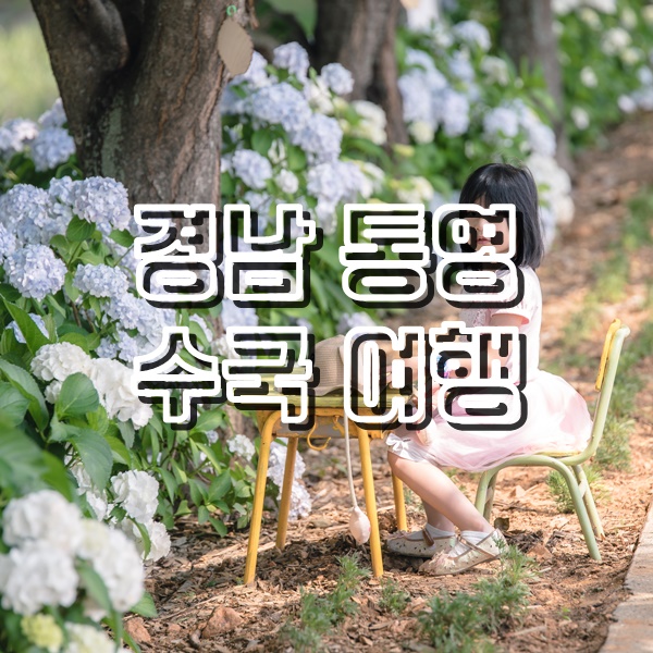  6월말 만개한 수국을 구경하러 떠난 통영 여행(광도천, 내죽도수변공원, 광포해장국)