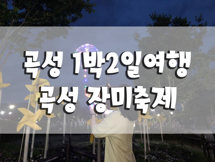  곡성 1박2일 여행, 곡성 장미축제 즐기기! 곡성 펜션 추천!