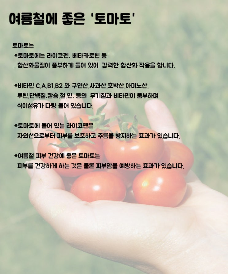 여름철에 좋은 토마토