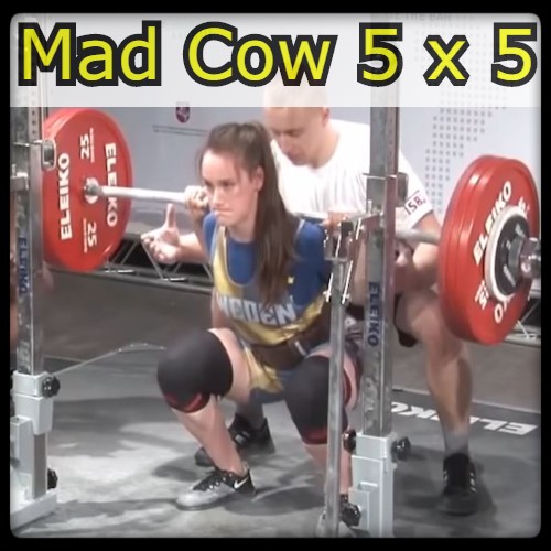  [운동루틴] 매드카우 (MadCow) 5x5 - 스트렝스식