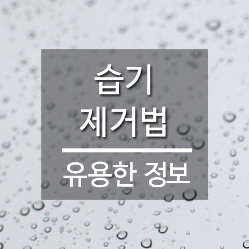  곧 장마, 습기 제거법 알아보기