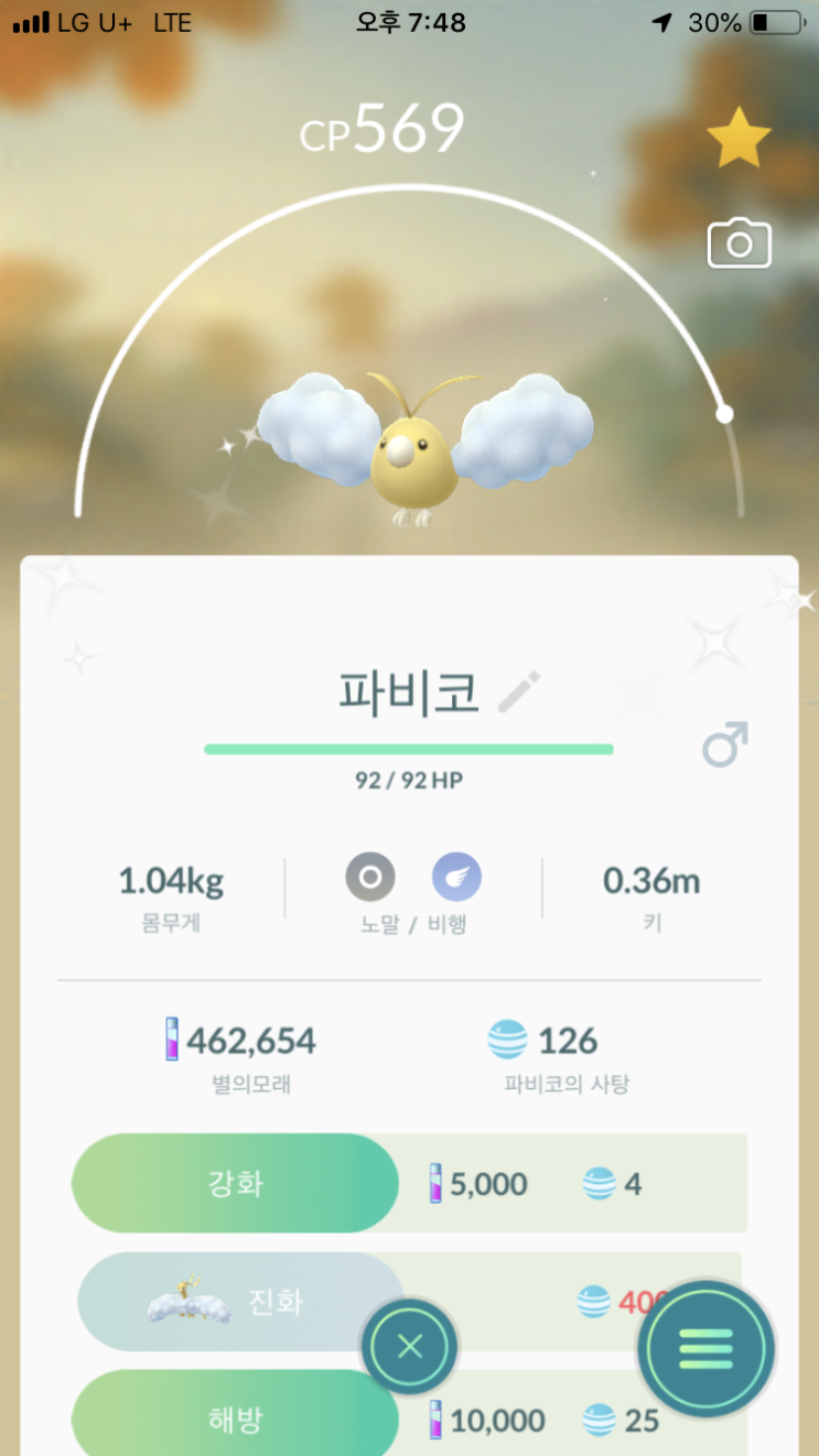  파비코 이로치