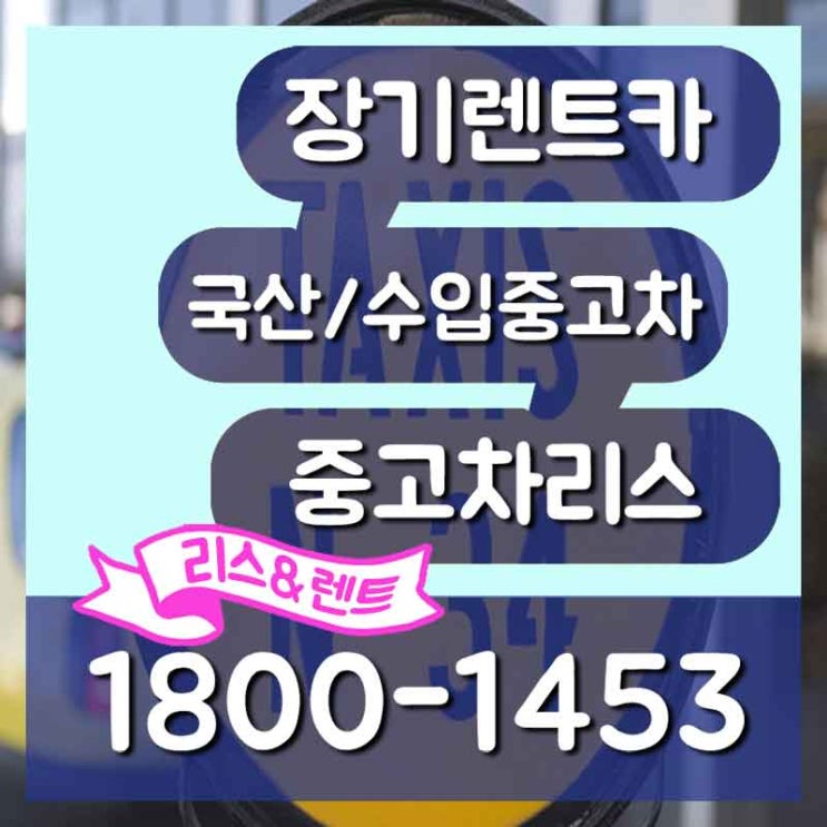  2018벨로스터 강남 중