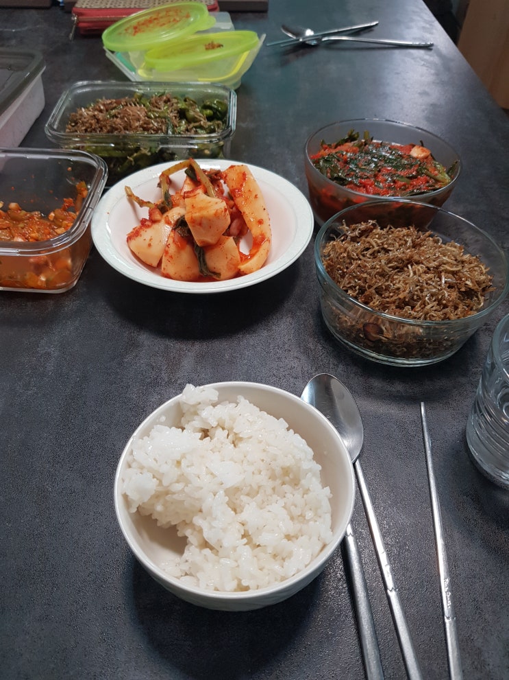 190624 취준일기 190624 취준일기