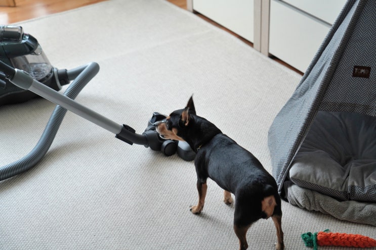  유선청소기, 퓨어 C9로 초미세먼지 없이 대청소!