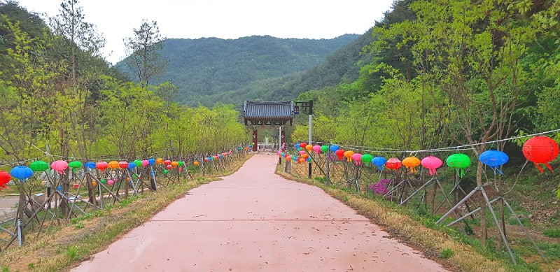 장육사(莊陸寺)/경북 영덕군 창수면 : 네이버 블로그