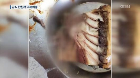  학교급식 반찬에 ‘고래회충’ 발견…‘경악’