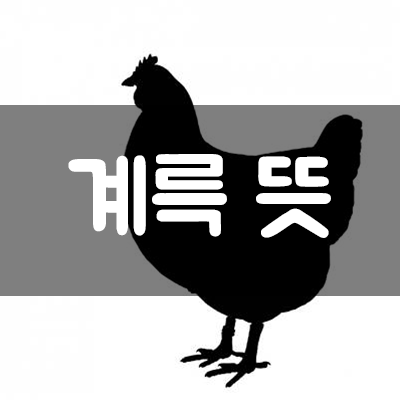  【계륵(鷄肋)】 뜻과 유래 // (Feat. 삼국지)