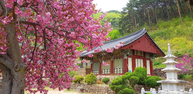 장육사(莊陸寺)/경북 영덕군 창수면 : 네이버 블로그