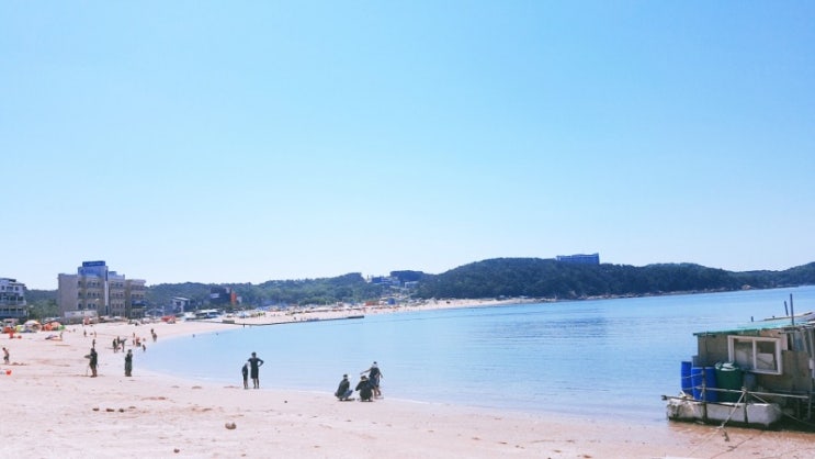  왕산해수욕장서 힐링하고 왔어요~~