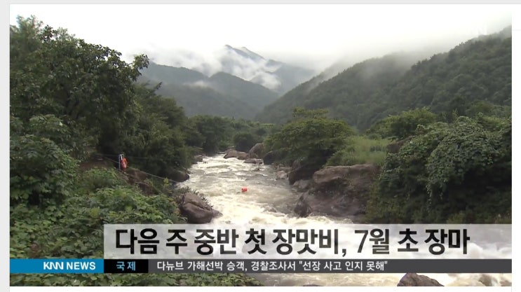  2019년 본격적인 장마 시작하다 [부산베리팜]