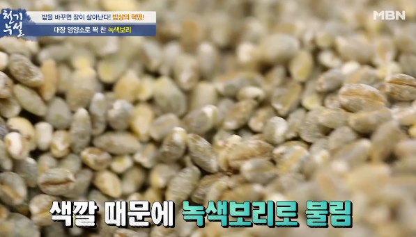  여름철 대장에 좋은 음식 녹색 보리의 효능, 녹색 보리밥 먹는 법 및 녹색 보리 보관법