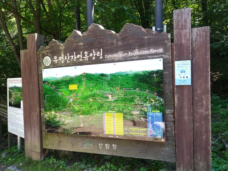  #유명산, #유명산정상, #박쥐소, #유명산자연휴양림, 