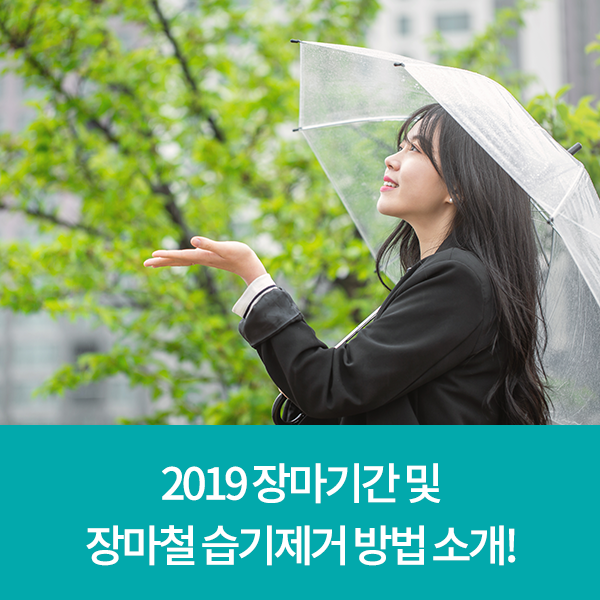 2019 장마기간 및 장마철 습기제거 방법 소개!