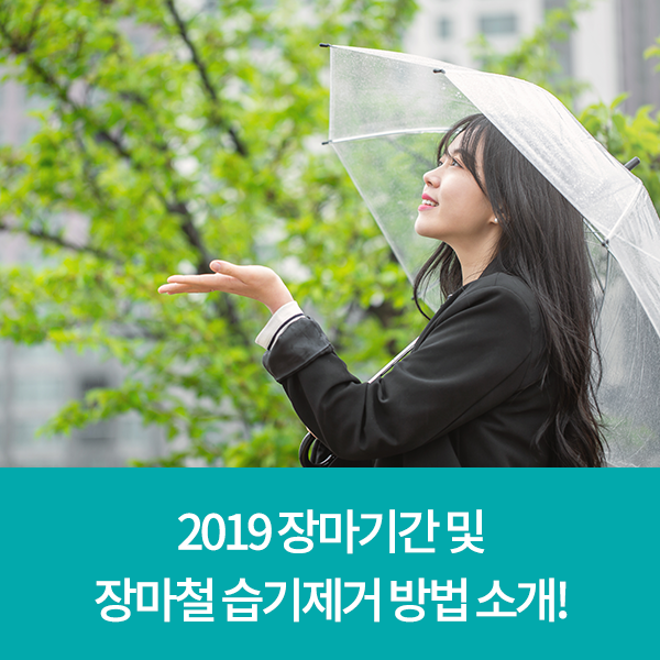  2019 장마기간 및 장마철 습기제거 방법 소개!