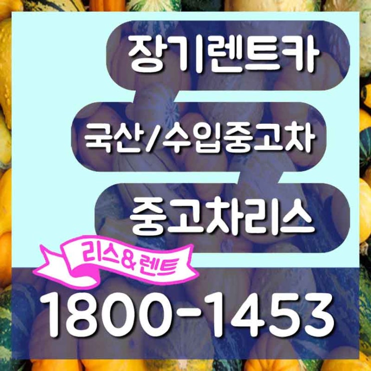  기아자동차K8 동남구 예산군