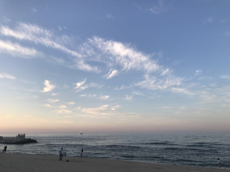  여자 혼자 당일치기 여행 - 강릉