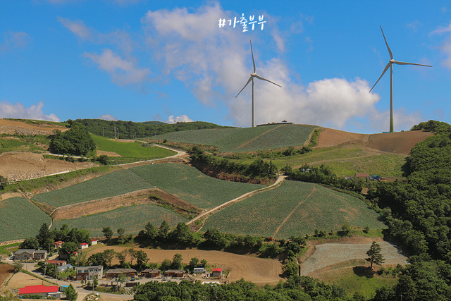  강릉여행/강릉일정/강릉갈만한곳/강원도여행/외국같은한국여행지