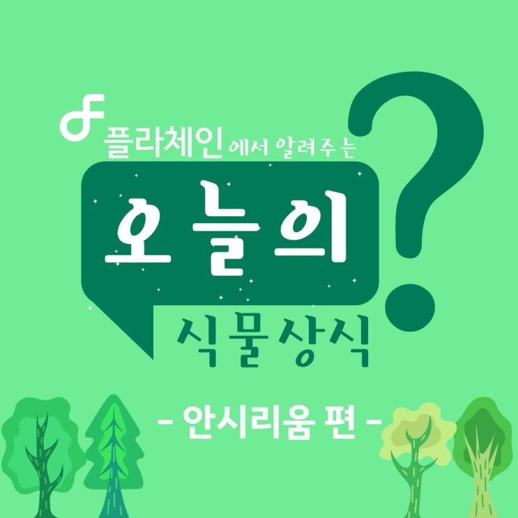 플라체인에서 알려주는 오늘의 식물상식 - 안시리움 편