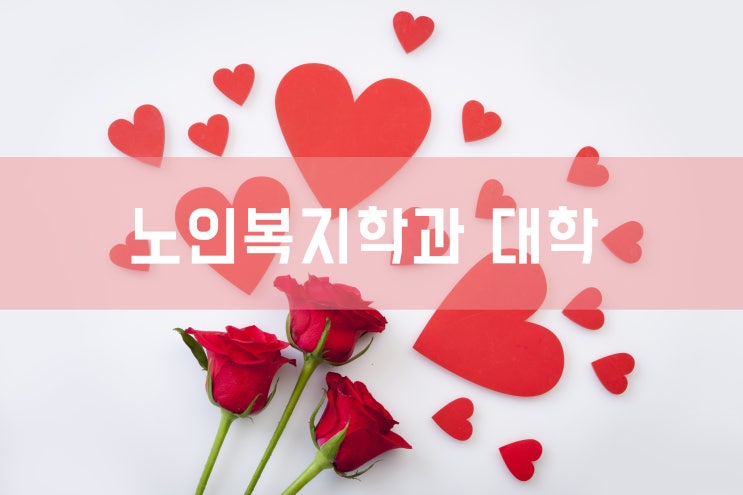  노인복지학과 대학