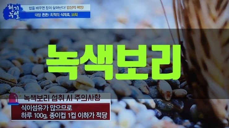 대장 건강 맞춤 최적의 보리, 녹색 보리-천기누설 368회