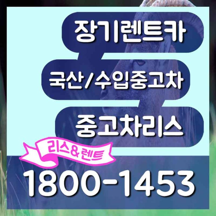  기아차개인리스 아산 서산