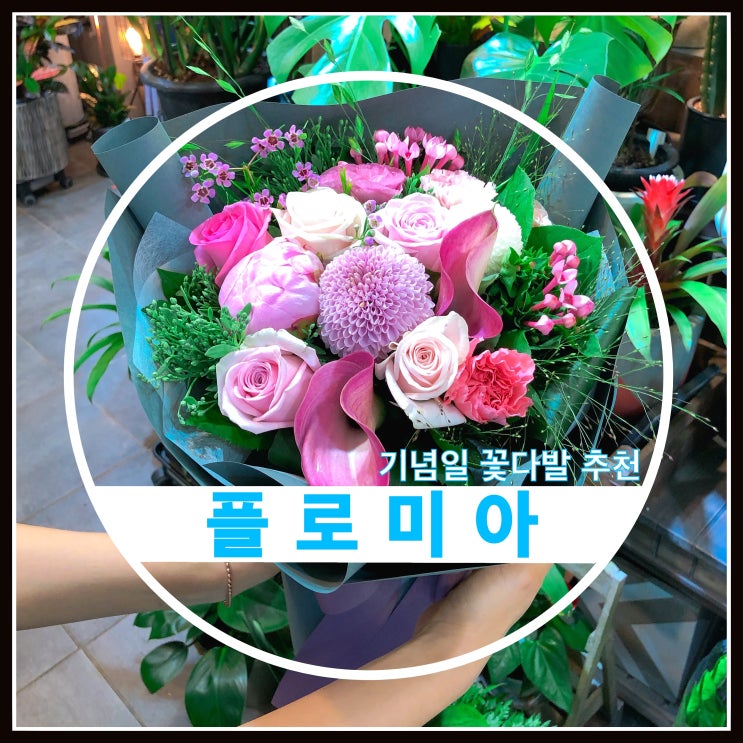 결혼기념일 꽃다발 잠실 플로미아에서 준비하세요. 결혼기념일 꽃다발 잠실 플로미아에서 준비하세요.