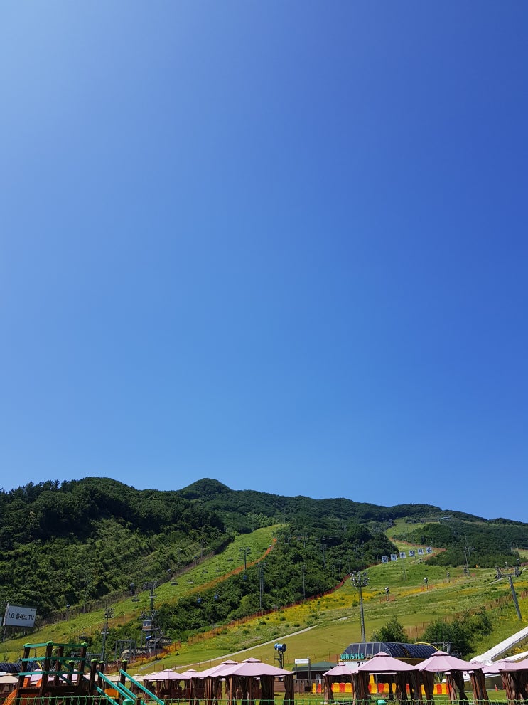  경기도 숲체험 :) 날이 좋아서 LG 화담숲 _곤지암