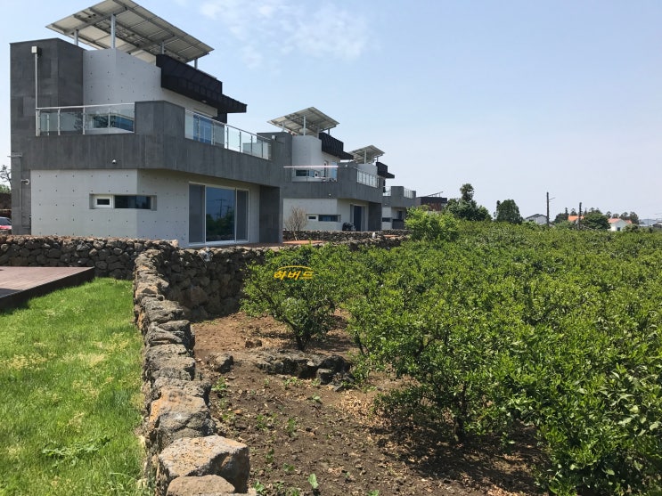  제주도 구해줘홈즈 부근  조천타운하우스