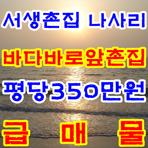  바닷가주택 바닷가촌집 시골빈집매매 시골촌집 바다가보이는집 나사리 바다바로앞