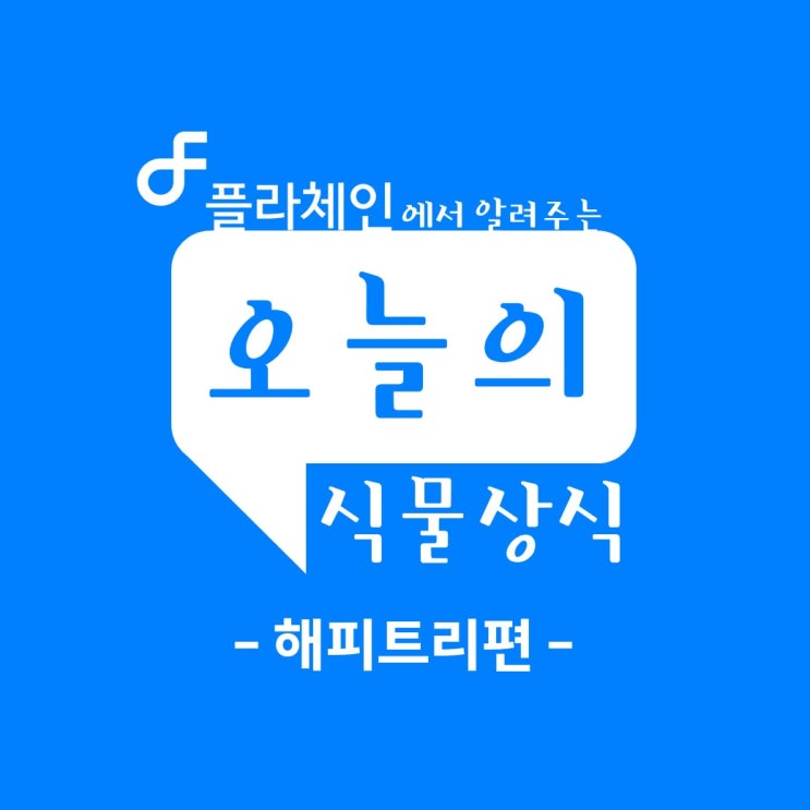 플라체인에서 알려주는 오늘의 식물상식 - 해피트리 편