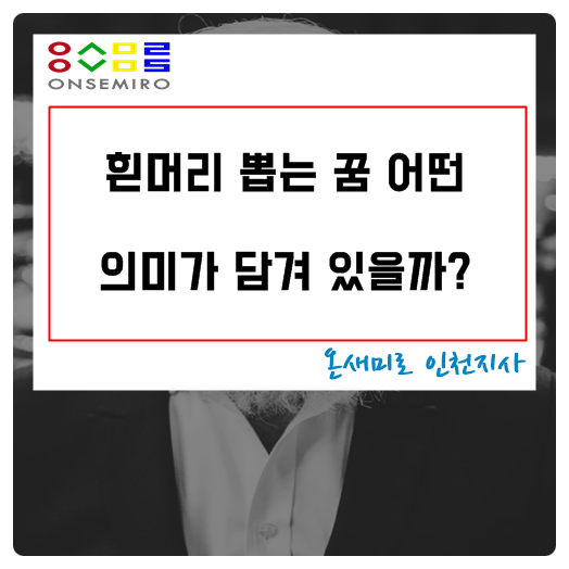 흰머리 뽑는 꿈 어떤 의미가 담겨 있을까?