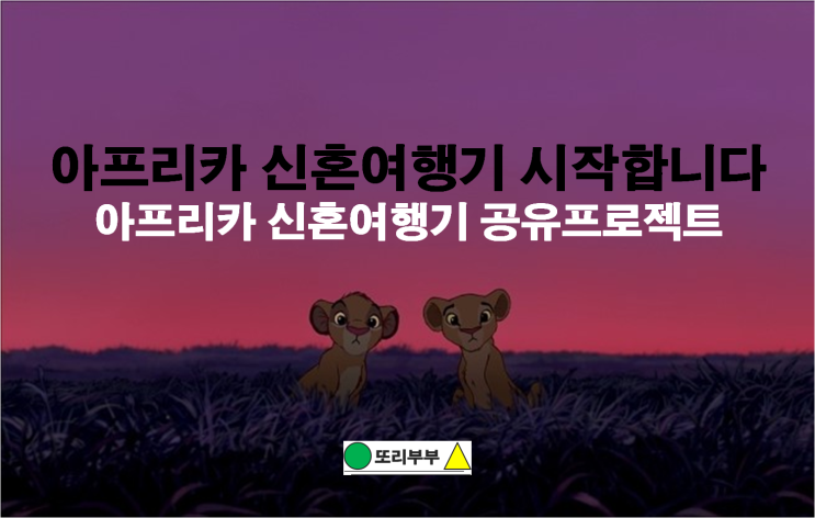  아프리카 여행 일정 공유, 아프리카에 대해 알아보자. (신혼여행으로 강력추천하는 아프리카)