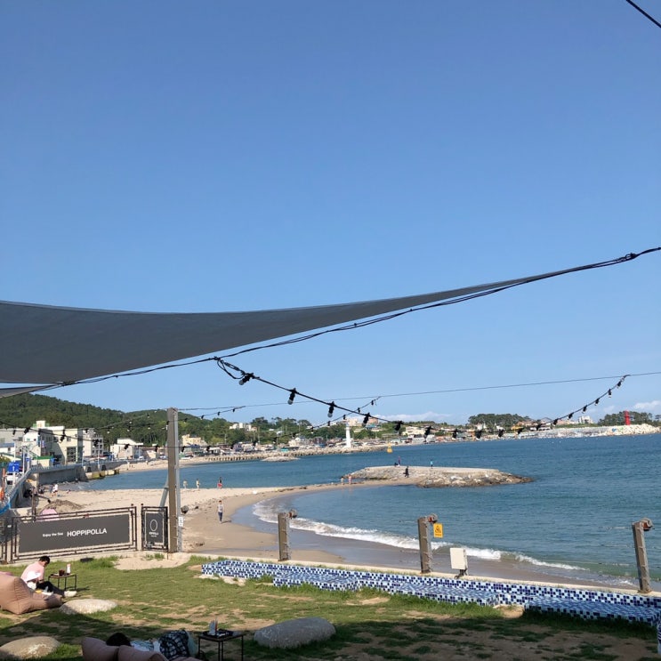  [울산카페/간절곶카페] 호피폴라