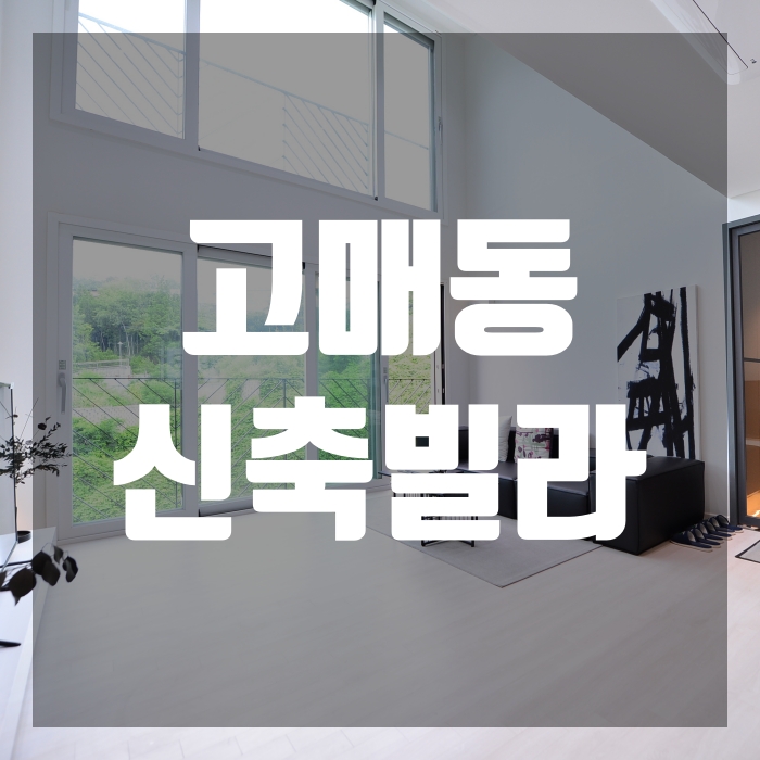  용인복층빌라 동탄2신도시 동시생활권 라온빌리지