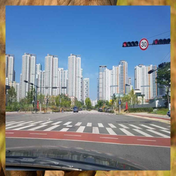  용인운전연습 장롱면허운전연수가격 도움이 많이 됐어요!