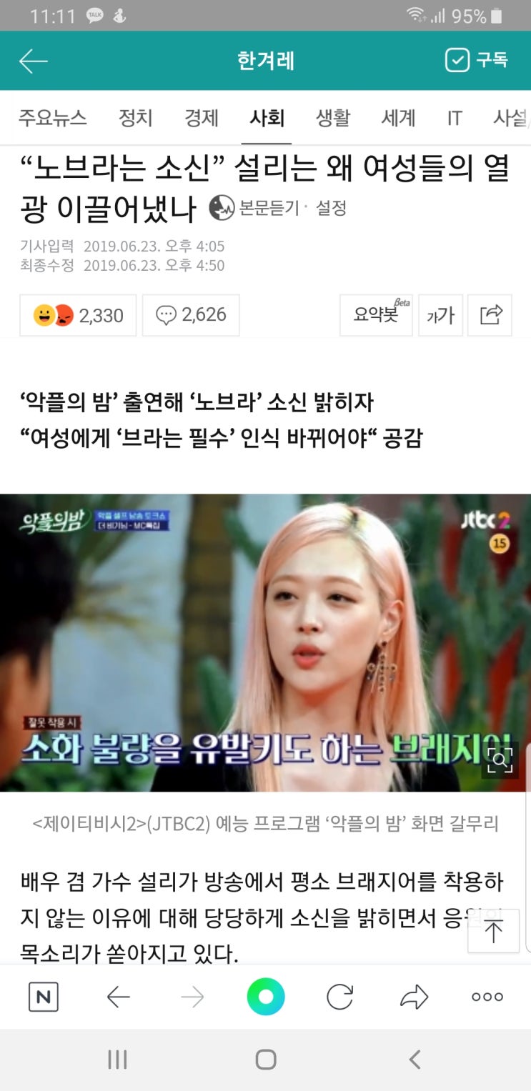  설다르크 단순관종 패미니스트 설리에 대한 여러가지 평가