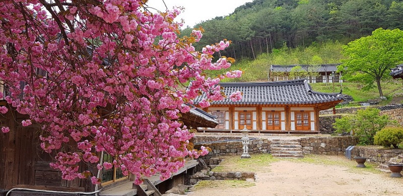 장육사(莊陸寺)/경북 영덕군 창수면 : 네이버 블로그