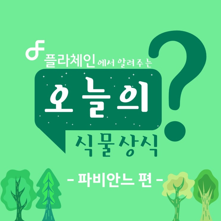  꽃집창업은 플라체인! 플라체인에서 알려주는 오늘의 식물 - 파비안느 편