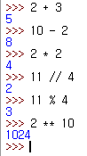파이썬(Python) 3. 숫자형과 산술 연산