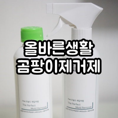  올바른생활 곰팡이제거제로 욕실, 화장실, 주방 깨끗해졌어요