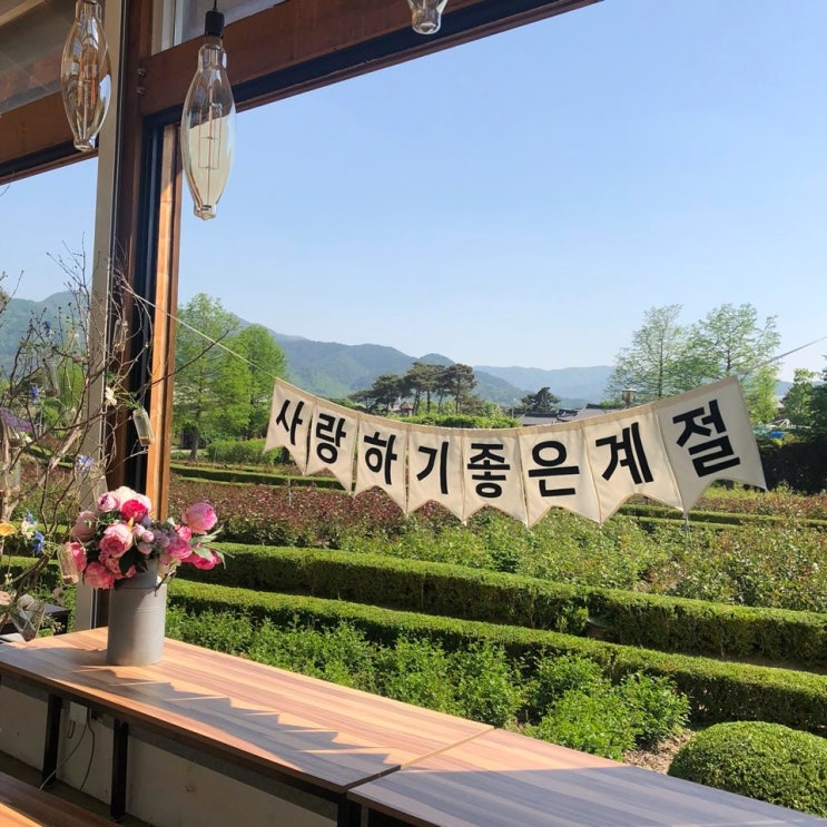  커플/친구와 함께하는 곡성 섬진강 기차마을 제대로 즐기기
