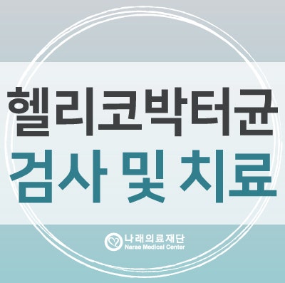 세종시내과 헬리코박터균 검사 증상 및 원인 치료 3