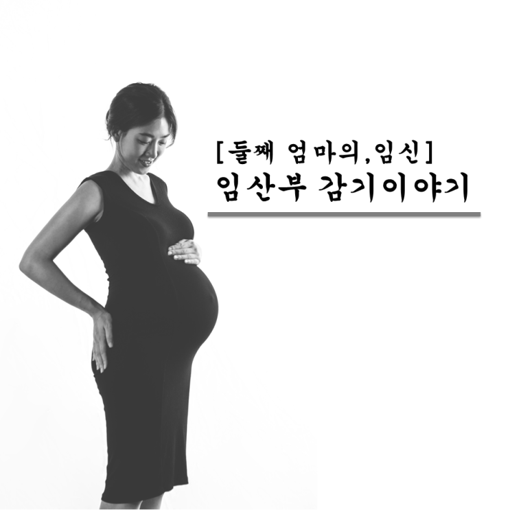  [임신]임신초기,임신8주,임산부 감기, 타이레놀500,타이레놀이알 복용