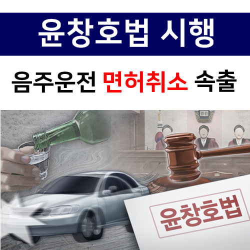  윤창호법 시행! 음주운전 숙취운전 면허취소 속출